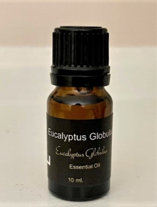 Eucalyptus Globulus Essential Oil