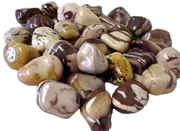 zebra jasper